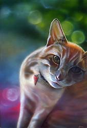 airbrush cat