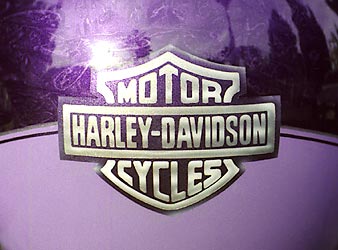 airbrushed Harley Davidson logo